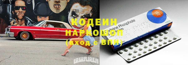 ГАЛЛЮЦИНОГЕННЫЕ ГРИБЫ Абаза