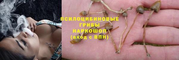твердый Алексин