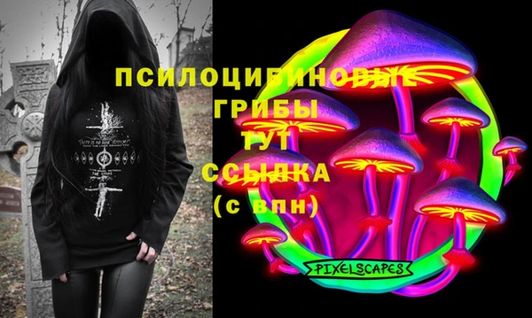 молекула духа Алзамай
